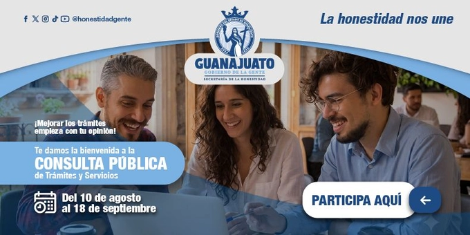 Consulta publica